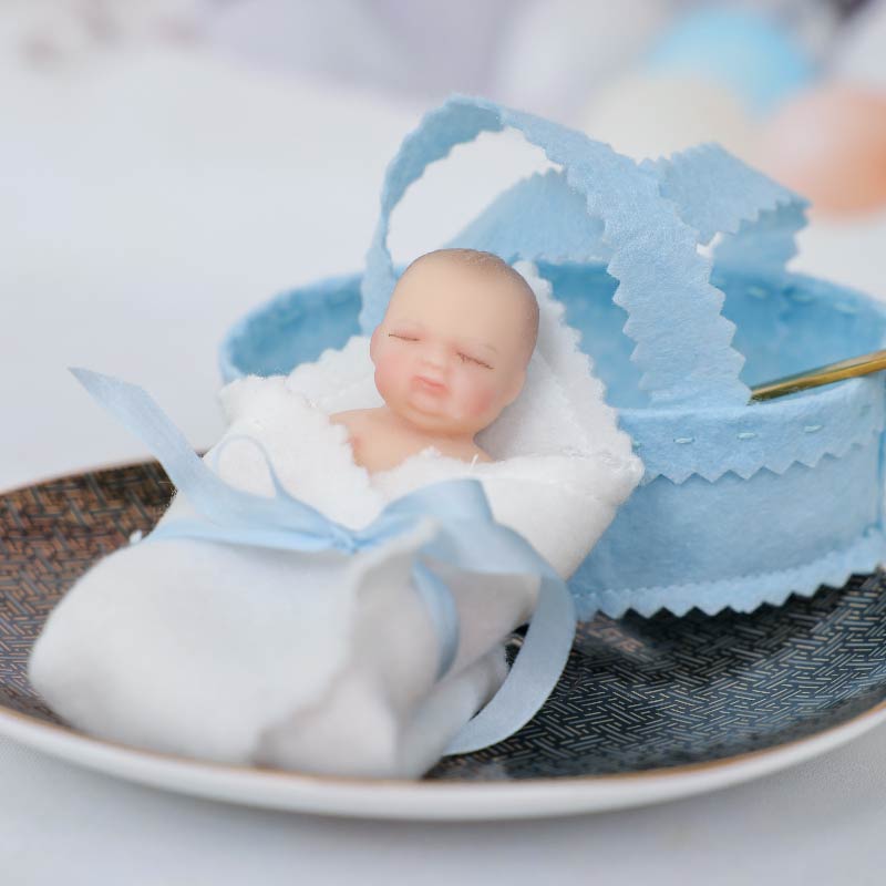 Cloveray Lifelike Silicone Reborn Girl Baby Doll 4Inch